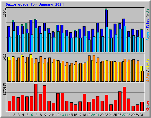 Daily usage for January 2024