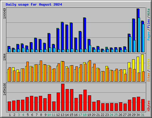 Daily usage for August 2024