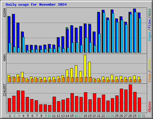 Daily usage for November 2024