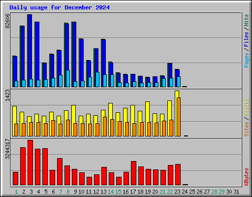 Daily usage for December 2024