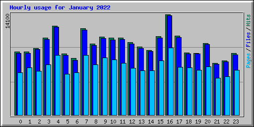Hourly usage for January 2022