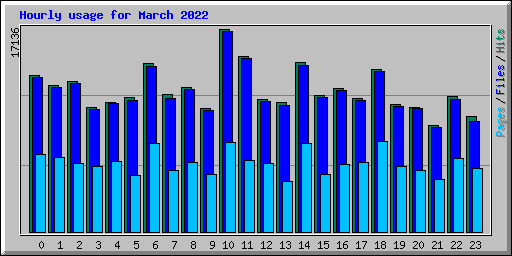 Hourly usage for March 2022