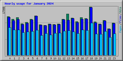 Hourly usage for January 2024