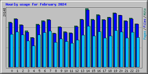 Hourly usage for February 2024