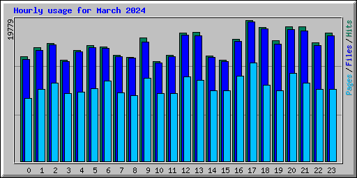 Hourly usage for March 2024