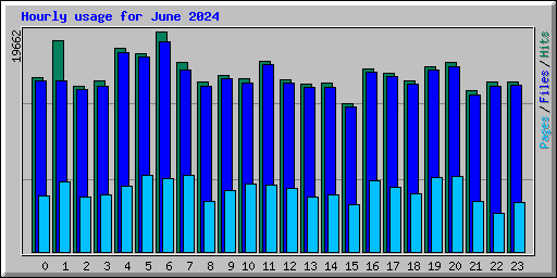 Hourly usage for June 2024