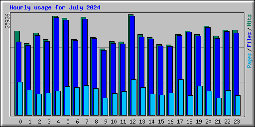 Hourly usage for July 2024