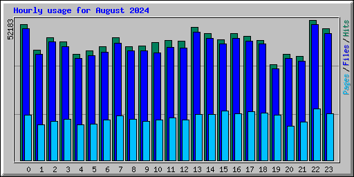 Hourly usage for August 2024