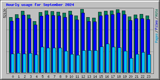 Hourly usage for September 2024