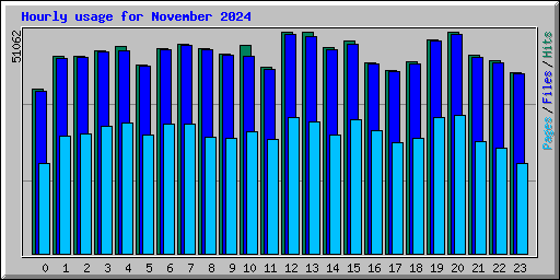 Hourly usage for November 2024