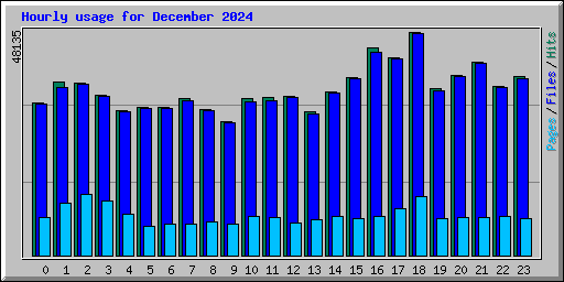 Hourly usage for December 2024