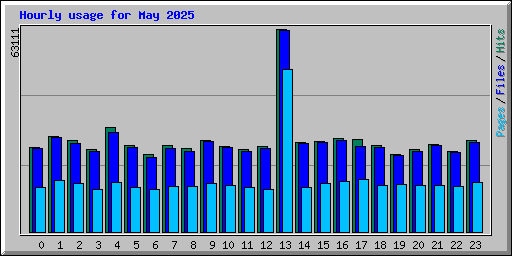 Hourly usage for May 2025
