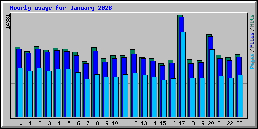 Hourly usage for January 2026