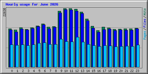Hourly usage for June 2026